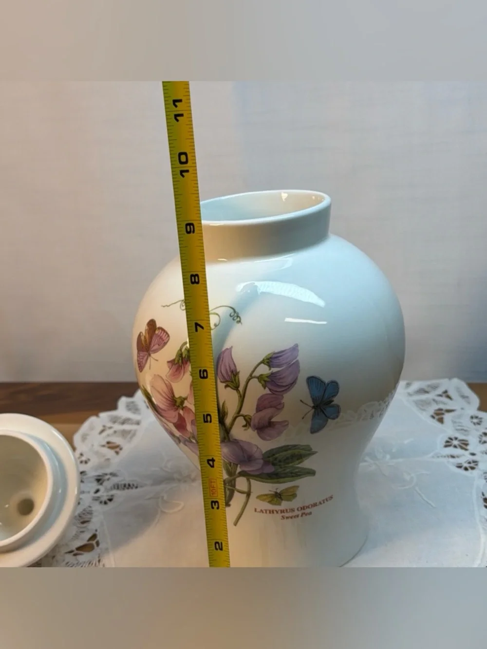 VTG‎ Portmerion Botanic Garden 13